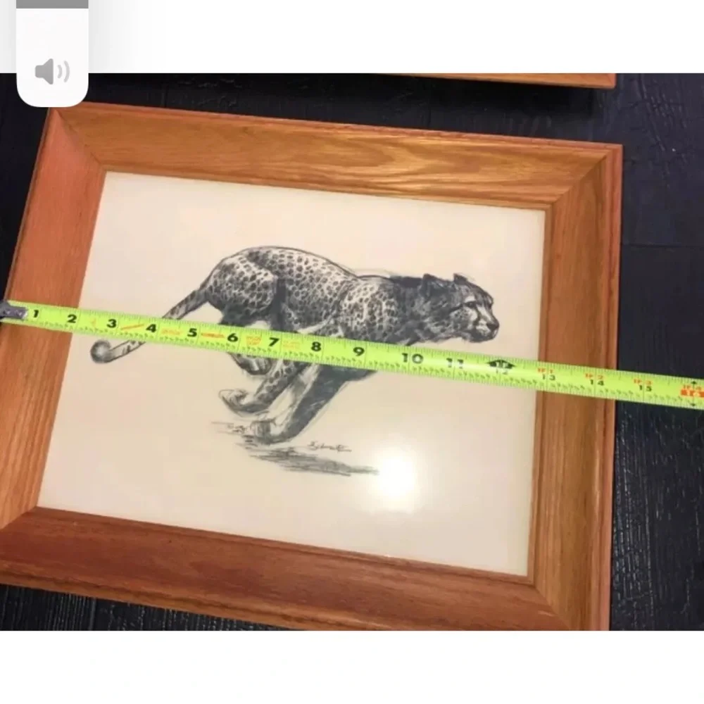 Vintage Art Etchings Drawing Cheetah Framed D.‎  Schwartz